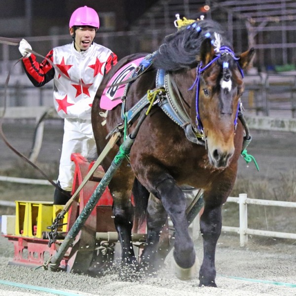 大幅値下げ中！【激レア】ばんえい十勝JRA騎手生サイン入りポスター 激レア】ばんえい十勝JRA騎手生サイン入りポスター アイドル