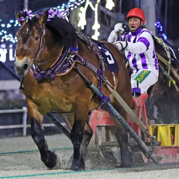 第46回チャンピオンカップ」（BG2）の結果 | 【公式】ばんえい十勝