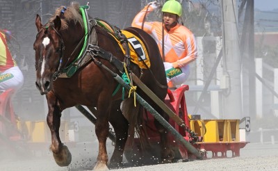 渡来心路騎手 通算1,000勝達成！