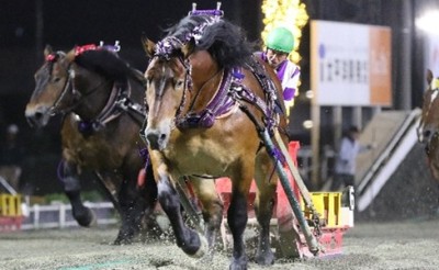 「柳月杯 第37回ばんえいグランプリ」（BG2）ファン投票最終結果