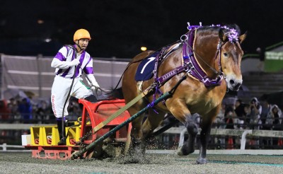 「第37回ばんえいグランプリ」（BG2）の結果