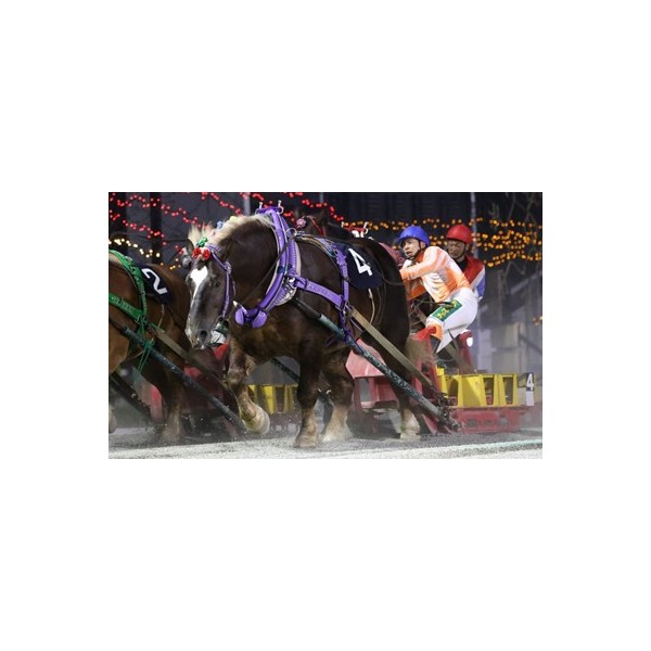 第33回銀河賞」（BG2）の結果 | 【公式】ばんえい十勝