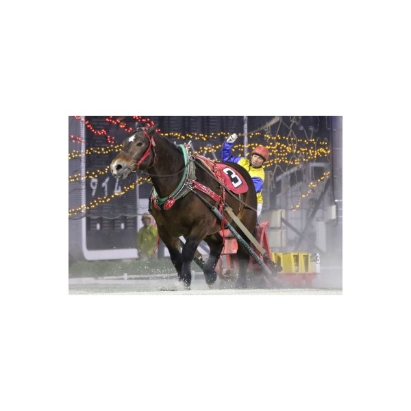 大幅値下げ中！【激レア】ばんえい十勝JRA騎手生サイン入りポスター 西将太騎手1,500勝達成！ | 【公式】ばんえい十勝