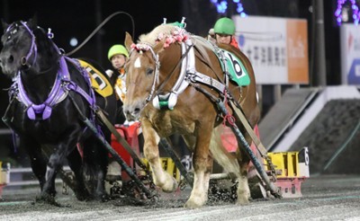 今井茂雅調教師、通算1,500勝を達成！