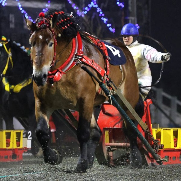 第46回北見記念」（BG2）の結果 | 【公式】ばんえい十勝