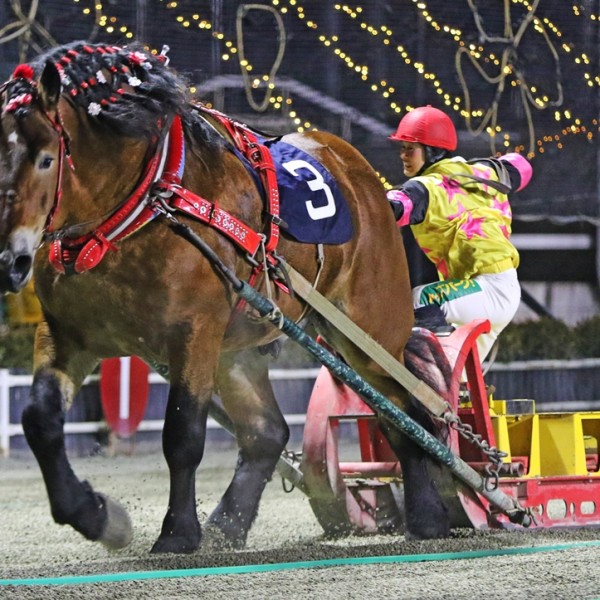 第16回ドリームエイジカップ」（BG3）の結果 | 【公式】ばんえい十勝