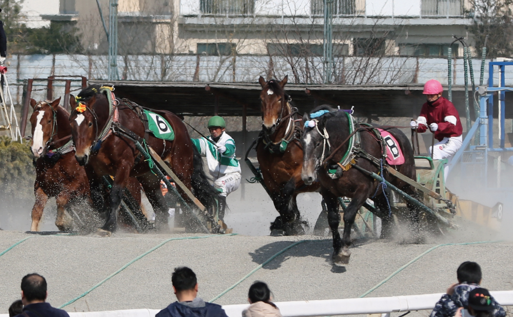 レース観戦