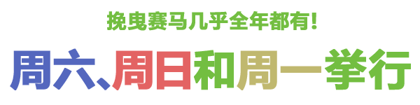 挽曳赛马几乎全年都有！周六、周日和周一举行